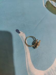 spining ring