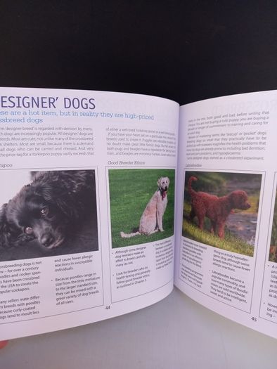 SALE! DOG CARE & TRAINING - A complete illustrated guide to adopting, house-training and raising a healthy dog