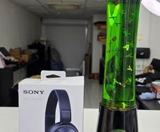 Sony Mdr-zx310ap