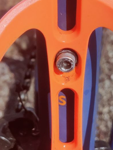 Men's Road Bike