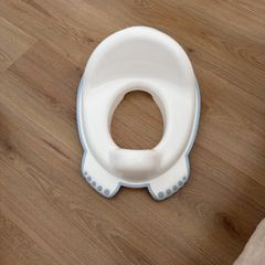 toilet training seat