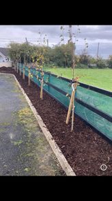 Green Garden Privacy Screening Netting - Various Sizes