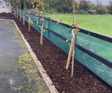 Green Garden Privacy Screening Netting - Various Sizes