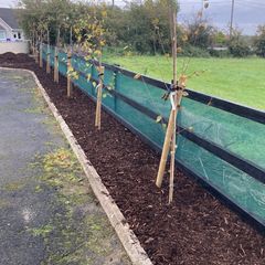 Green Garden Privacy Screening Netting - Various Sizes