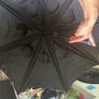 Umbrella Image 2