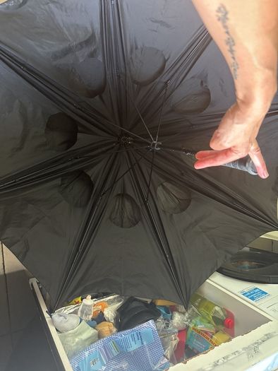 Umbrella