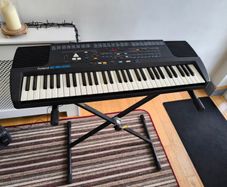 Roland Keyboard E-16 and Stand