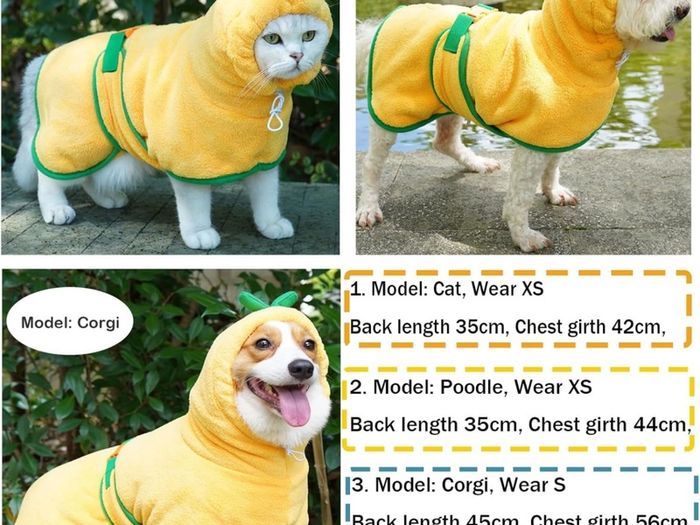 Bear Dog Bathrobe,Super Absorbent Dog Quick Drying Microfiber Coat Hooded Bath Towel for Puppy Small Dogs Pumpkin)