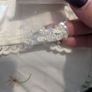 Martina Liana wedding dress Image 10