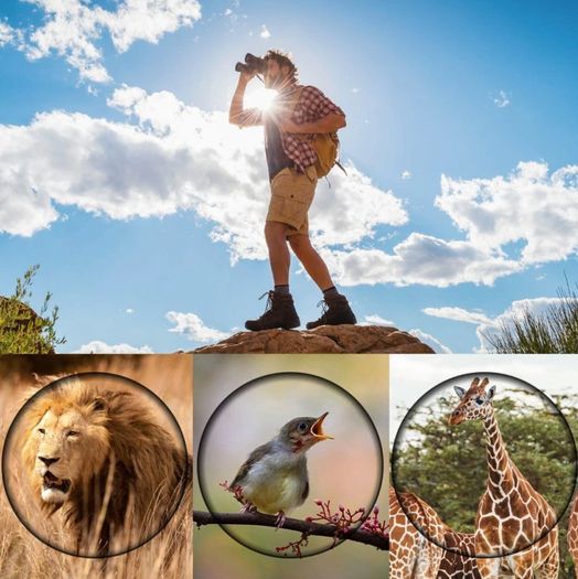 New Telescope 60X60 HD Binoculars High Clarity 10000M High Power For Outdoor Hunting Optical Lll Night Vision binocular Fixed Zoom