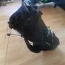 nike golf bag Image 10