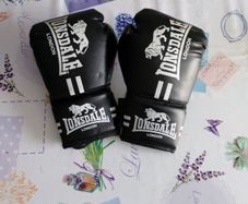 Boxing gloves