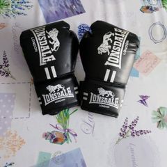 Boxing gloves