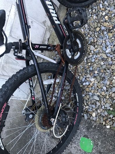 bicycle