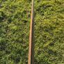 Vintage wooden oars Image 7