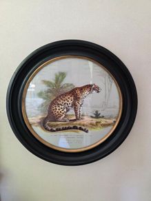 Framed Peint