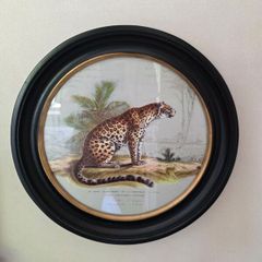 Framed Peint