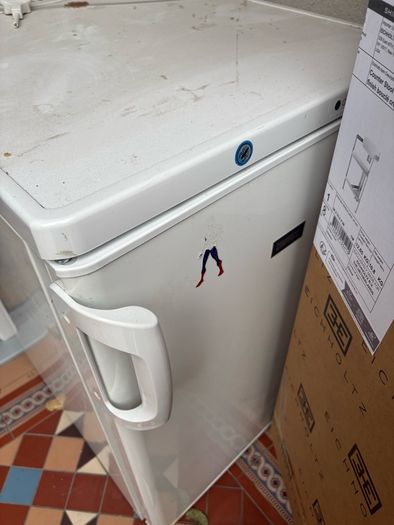 Free standing freezer