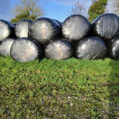 Bale Silage for sale