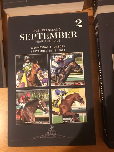 1to5 yearling sale 2021 book Keeneland
