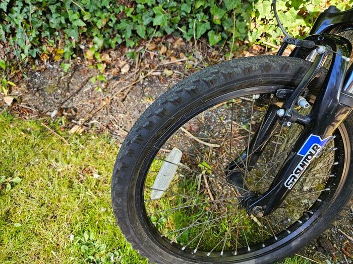 Ridgeback MX20 20 Kids Bike