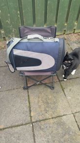 pet transport