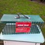 Trapping Image 5