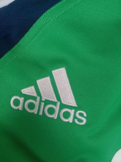 adidas lions jersey