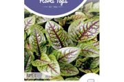 HT Red Sorrel Seeds 1g | Sow in July