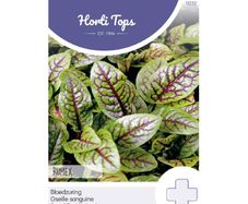 HT Red Sorrel Seeds 1g | Sow in July