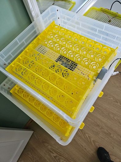 Egg Incubator