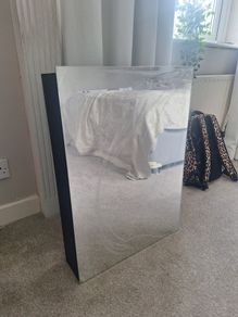Mirror medicine cabinet