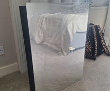 Mirror medicine cabinet