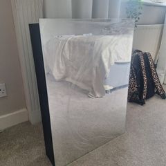 Mirror medicine cabinet