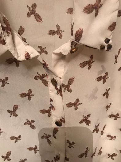 Chiffon Shirt