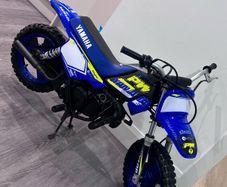Pw50