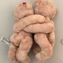 Teddy Bears Image 2