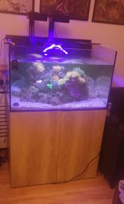 Aqua One Reefsys 255
