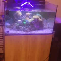 Aqua One Reefsys 255