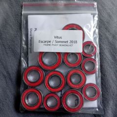 Vitus sommet frame bearings