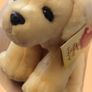Keel toys simply soft collection dog (Mr) (1062)  1 Image 7