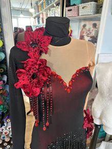 Ballroom / Latin Dance Dress for Sale