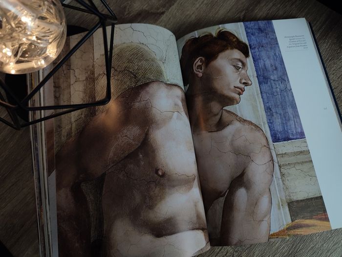 The Sistine Chapel ! Beautiful Illustartions ! 2017 ! by Scripta Maneant !