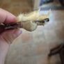 Vintage Irish Claw Brooch Image 4