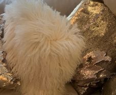 5 decorative pillows with a large beautiful laces curtain in brown and white colors