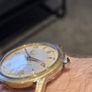 Vintage Roamer Super Shock Image 4