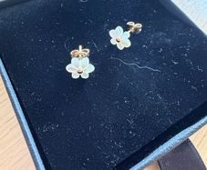 plated gold earrings