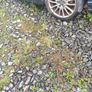 Volvo alloys  for sale Image 2