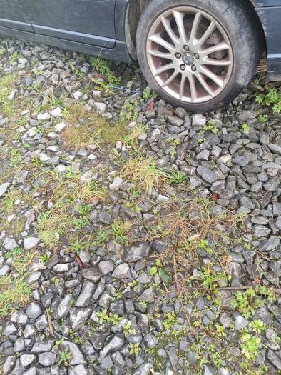 Volvo alloys  for sale