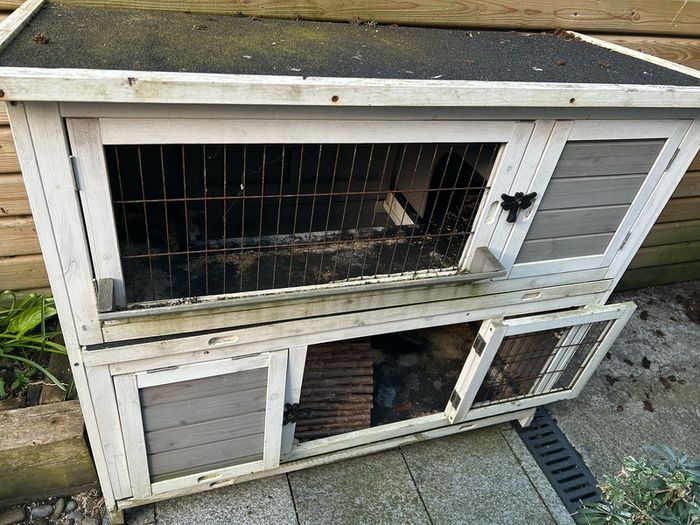 rabbit hut